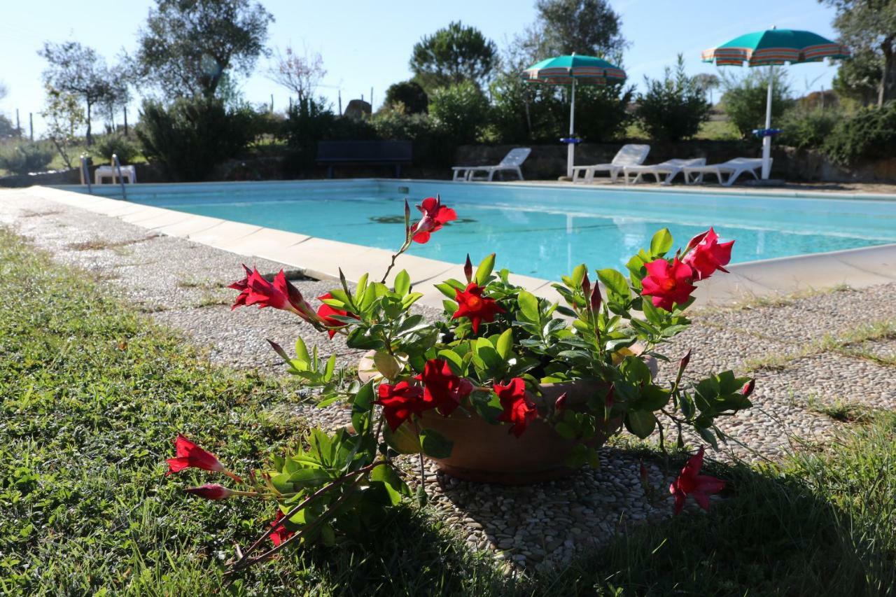 Agriturismo Tinti มอนเตียโน ภายนอก รูปภาพ