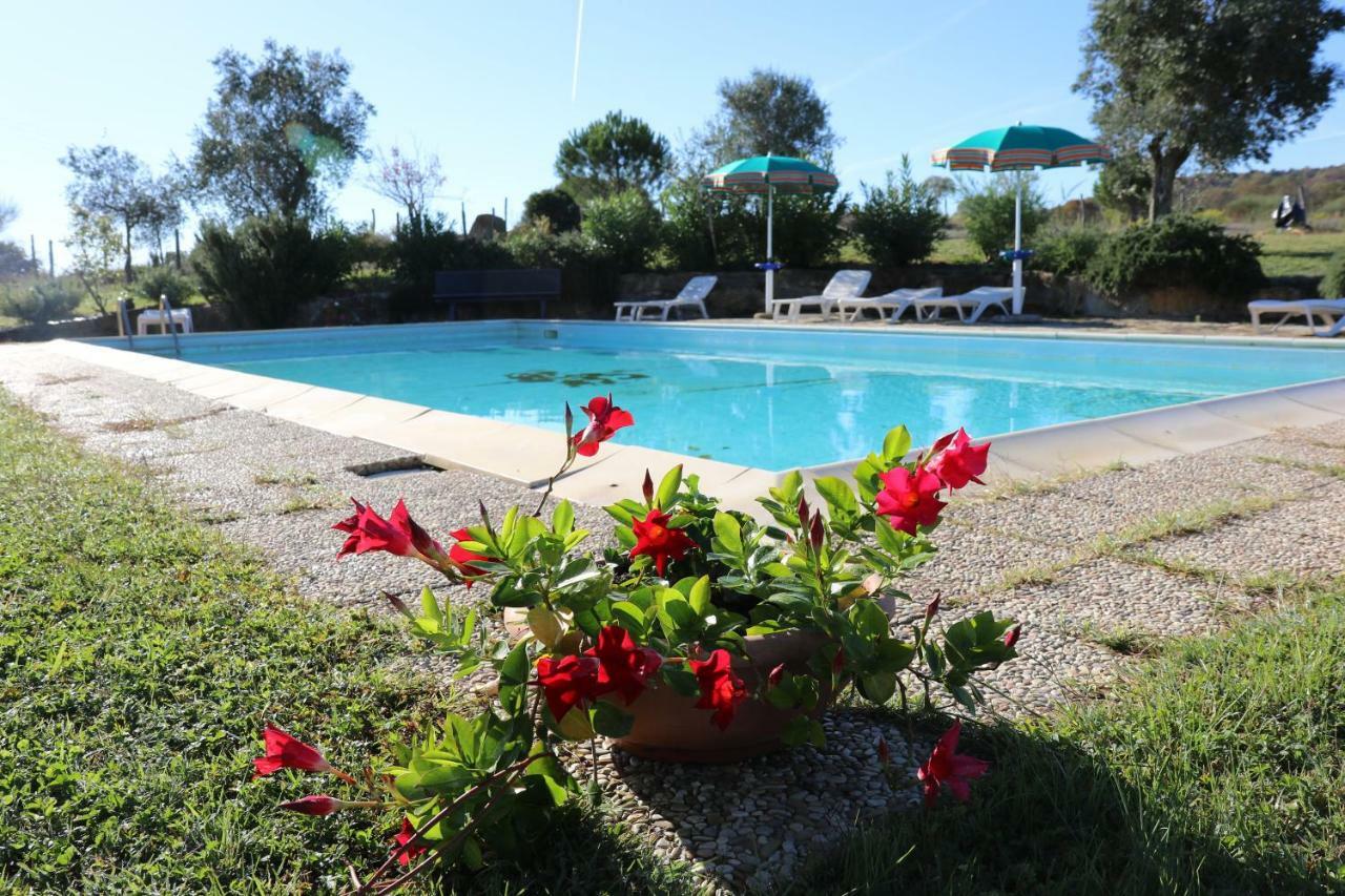 Agriturismo Tinti มอนเตียโน ภายนอก รูปภาพ